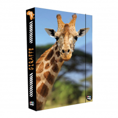 Box na sešity A4 Jumbo Žirafa - Oxybag (Karton P+P)