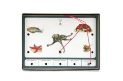 Zvířata světa společenská hra na baterie v krabici 22x16x3cm - Voltik toys