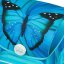 Školní aktovka pro prvňáčky Baagl Ergo Butterfly