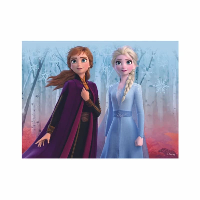 Dřevěné licenční kostky Frozen II - 12 kostek