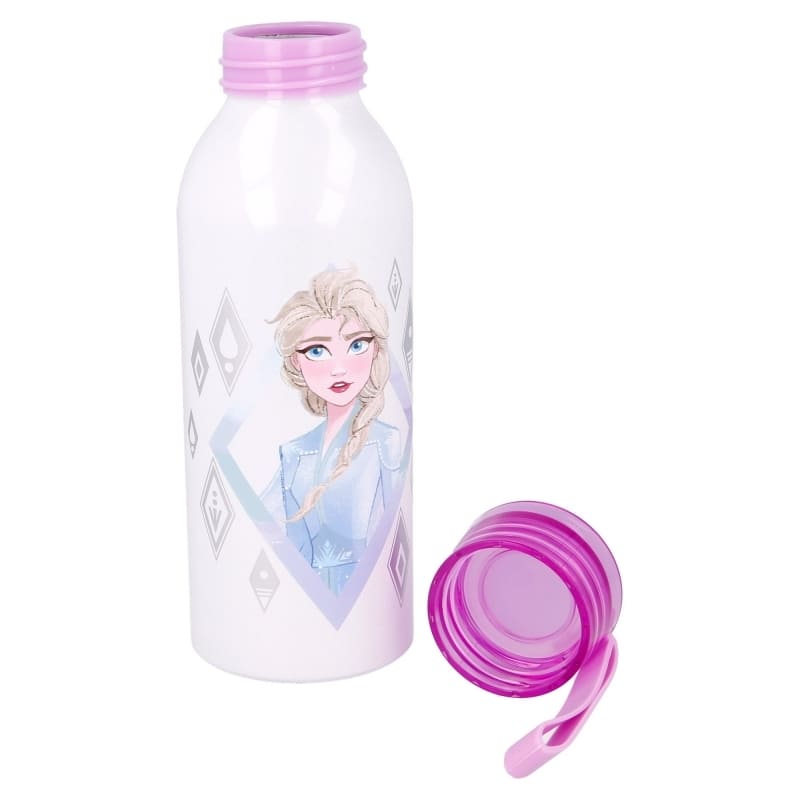 Dětská hliníková láhev na pití Stor Frozen II elements 510 ml