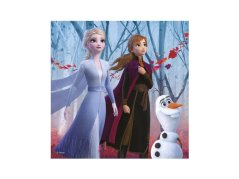 Puzzle 3v1 Ľadové kráľovstvo II - Frozen II 3×55 dielov