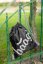 Sáček na obuv Baagl Skate Black