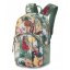 Batoh DAKINE Campus Pack S 18L Island Spring