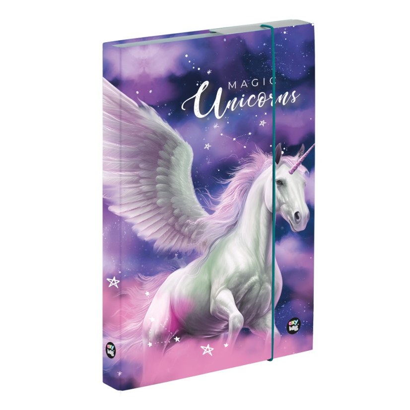 Box na sešity A4 Pegas - Oxybag (Karton P+P)