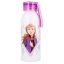 Dětská hliníková láhev na pití Stor Frozen II elements 510 ml