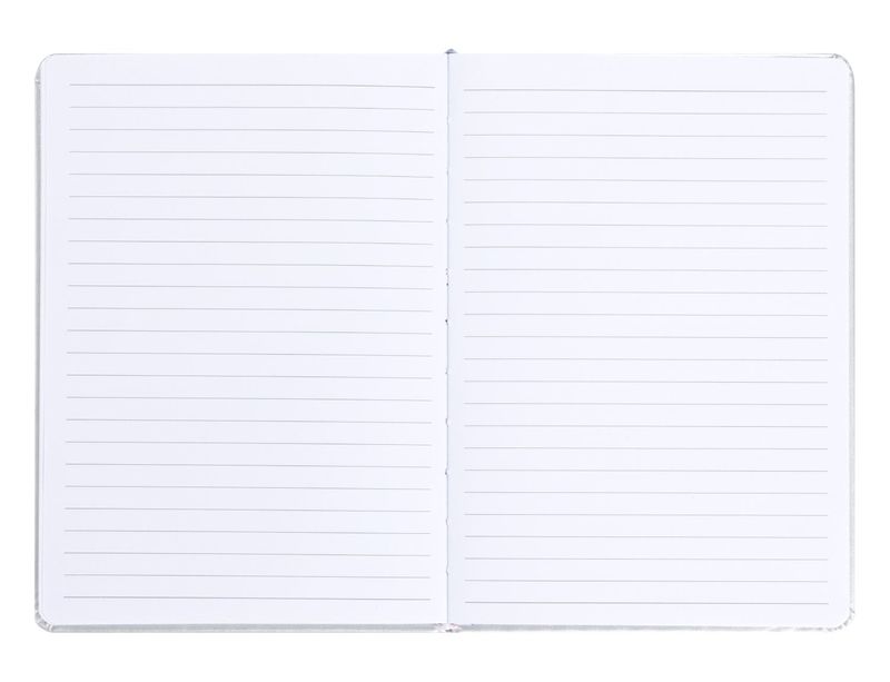 Notes Baagl NASA stříbrný