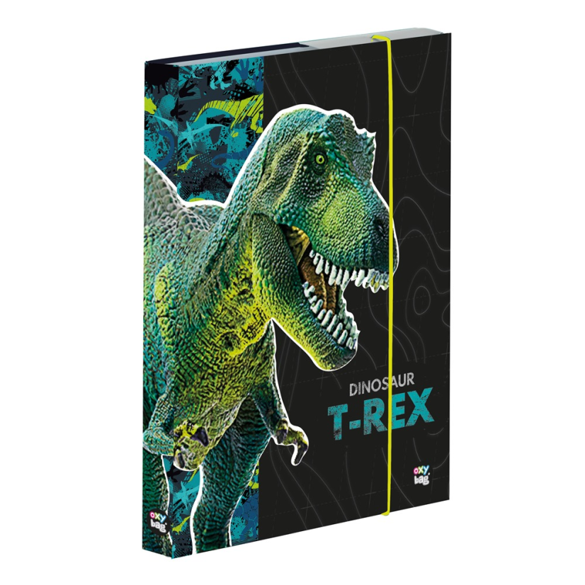 Box na sešity A4 Premium Dinosaurus - Oxybag (Karton P+P)