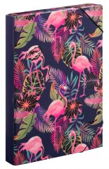 Zakladače na školské zošity A4 Jumbo Baagl Flamingo