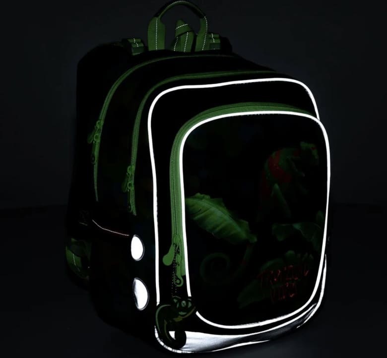 Topgal Školní batoh ENDY 22055 Chameleon