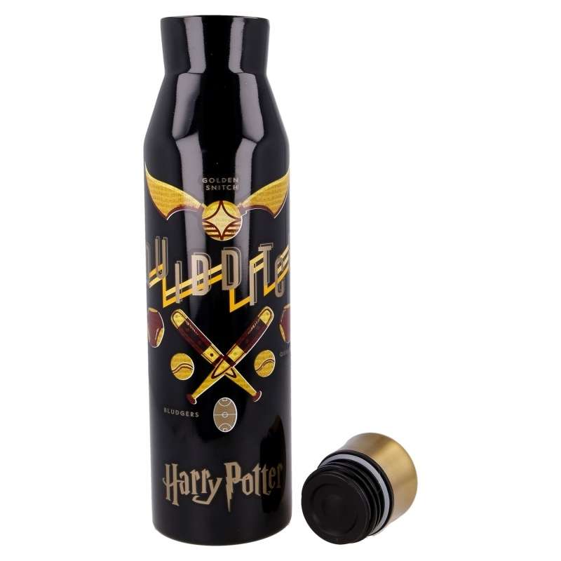 Nerezová termoláhev na pití Stor Harry Potter 580 ml