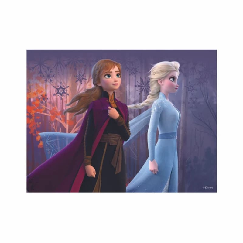 Dřevěné licenční kostky Frozen II - 12 kostek