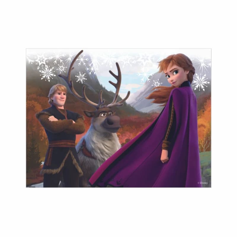 Dřevěné licenční kostky Frozen II - 12 kostek