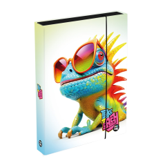 Box na zošity A4 Jumbo Chameleón