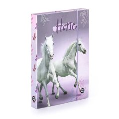 Box na zošity A4 Oxybag Horses