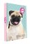 Desky na sešity A5 Oxybag Isha - My love pet