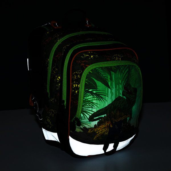 Školní batoh v setu pro prvňáčky BAGMASTER ALFA 21 C GREEN/BLACK