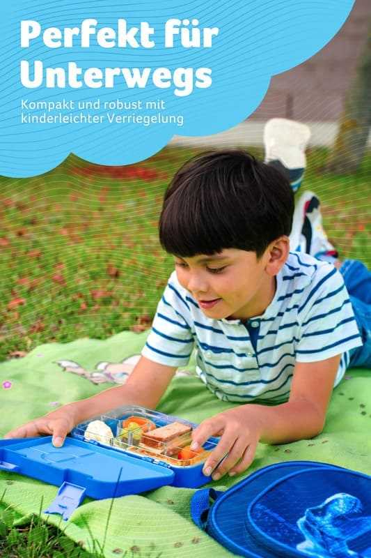 Box na svačinu JARLSON TONI Modrý - 6 přihrádek