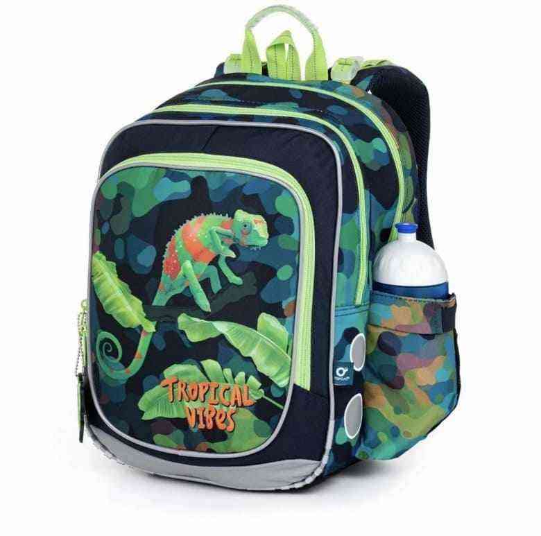 Školní batoh v setu Topgal s chameleony ENDY 22055 SET SMALL