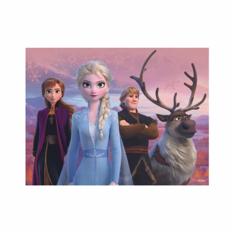 Dřevěné licenční kostky Frozen II - 12 kostek