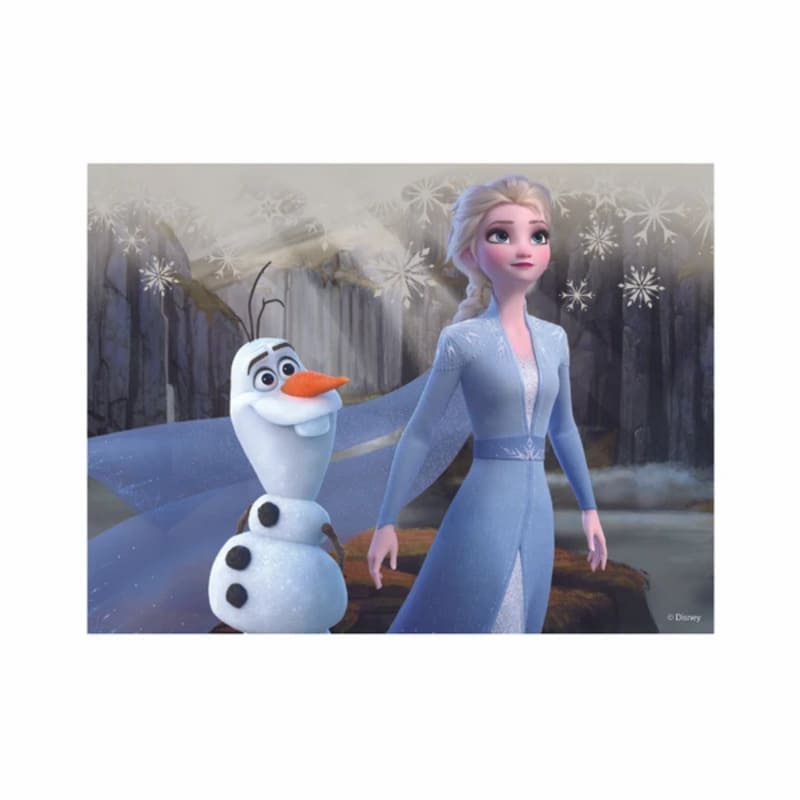 Dřevěné licenční kostky Frozen II - 12 kostek
