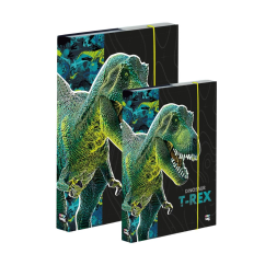 Box A4+A5 Premium Dinosaurus - Oxybag (Karton P+P)