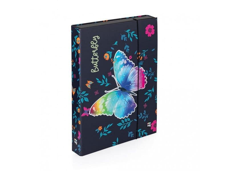 Levně Box na sešity A4 Jumbo Oxybag Motýl 2