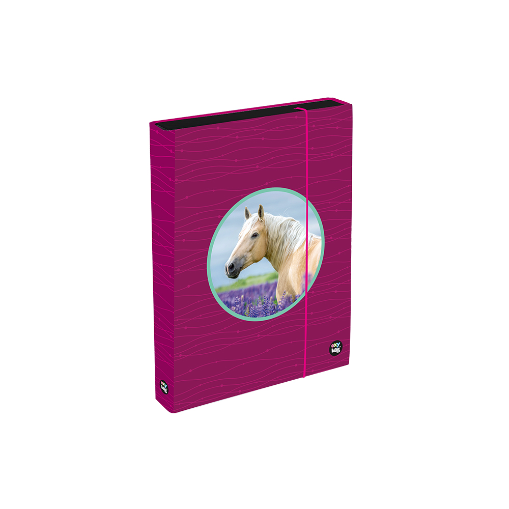 Levně Box na sešity A4 Jumbo OXY Sherpy Pink